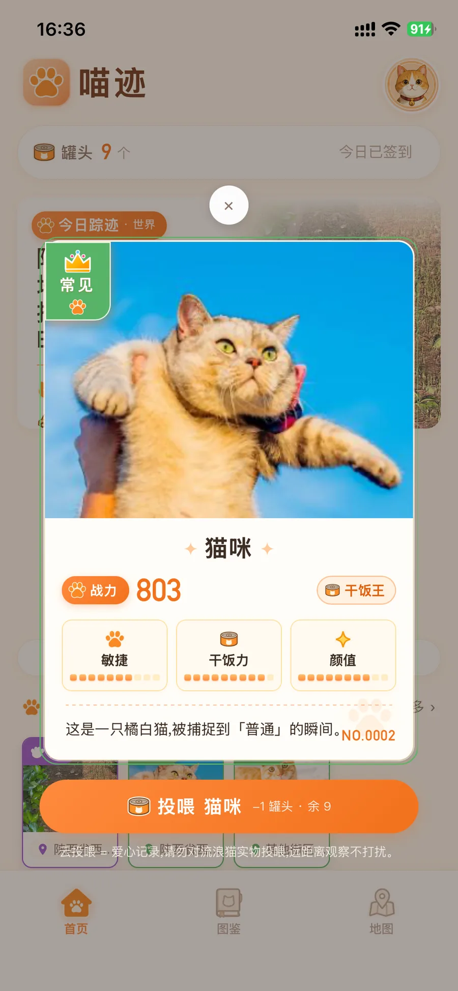 喵迹