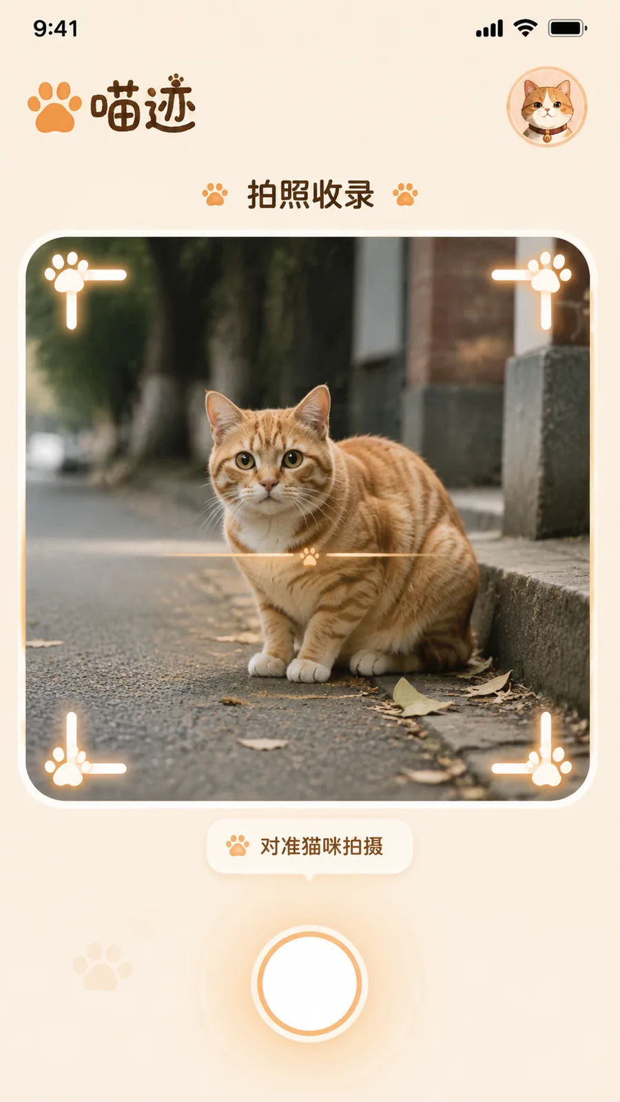 喵迹 2
